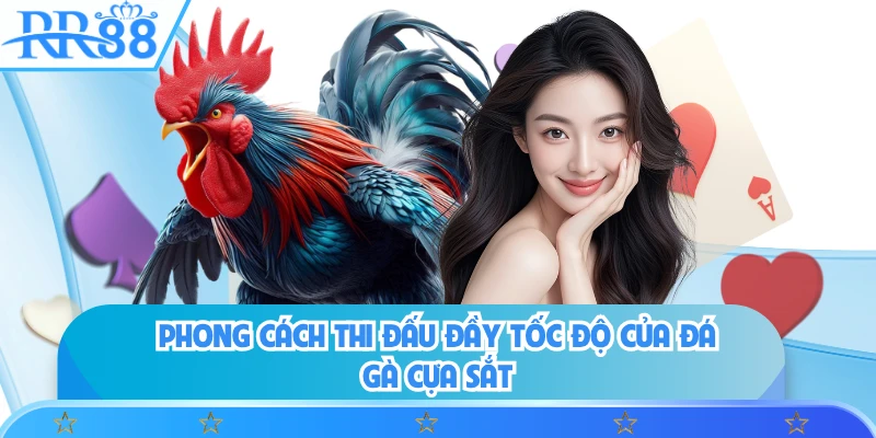 Phong cách thi đấu đầy tốc độ của đá gà cựa sắt 