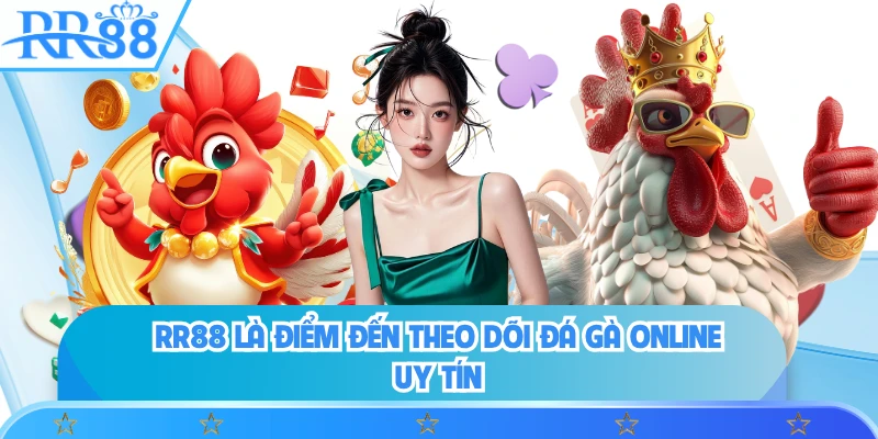 RR88 là điểm đến theo dõi đá gà online uy tín